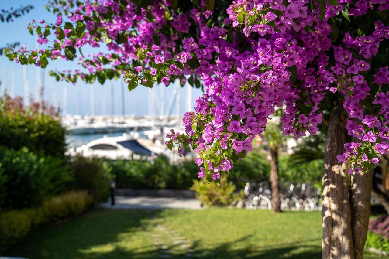 Blu Hotel Lavagna Exterior photo